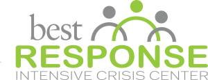 BestResponse Final logo